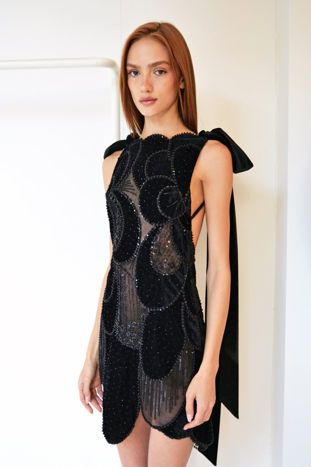 RAISA MINI EMBROIDERED BLACK VELVET GOWN