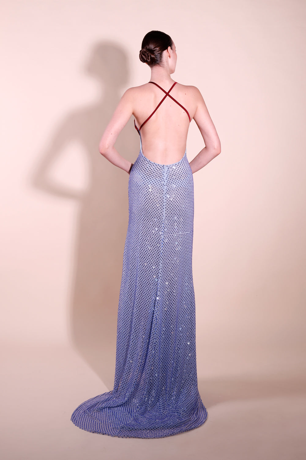 Ayla Crystal Embellished Gown